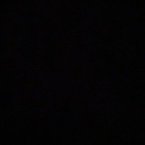 Meet your Posher, Ebony